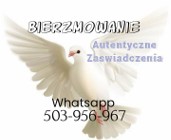 Bierzmowanie Zaświadczenia dla Chrzestnych Nauki Przedmałżeńskie Cały Kraj 