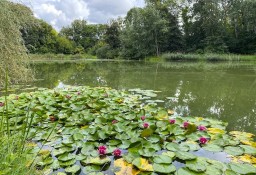 Działka budowlana Leszno, ul. Fabryczna