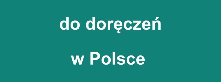 pełnomocnik do doręczeń w Polsce-1