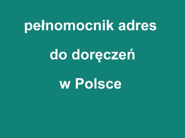 pełnomocnik do doręczeń w Polsce-1