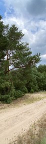Działka w lesie z linią brzegową Bory Tucholskie-3