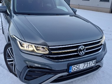 Pierwszy właściciel-1