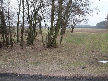 Działka rolna Kociszew-Wieś-1