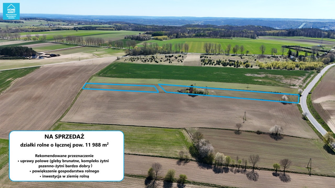 Grunt rolny 1,20 ha • Sobieńczyce - Widok 4