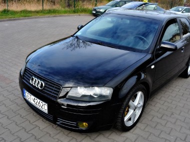 Audi A3 II (8P)-1