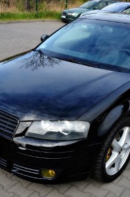 Audi A3 II (8P)-2