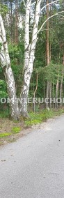 Działka leśna Henryszew-3