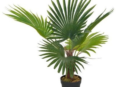 vidaXL Sztuczna palma z doniczką, zielony, 70 cm-1