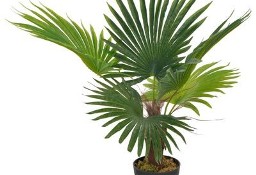 vidaXL Sztuczna palma z doniczką, zielony, 70 cm