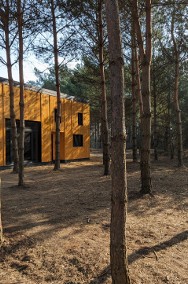Dom w lesie nad Narwią-2