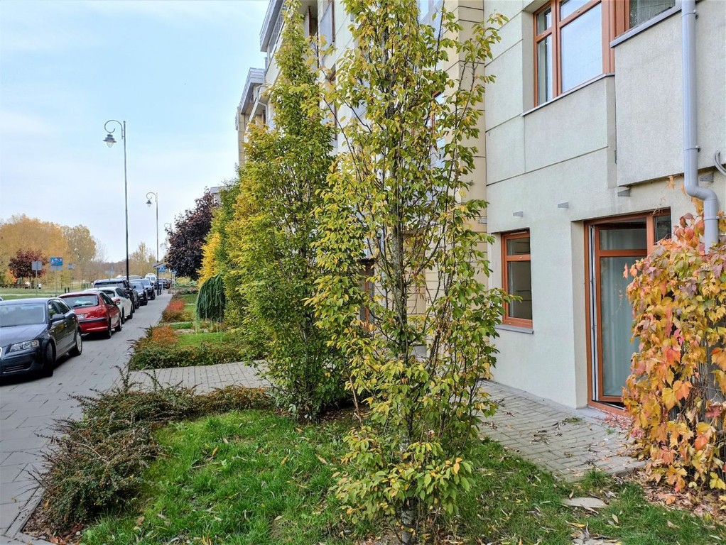 Biuro i mieszkanie, dwa wejścia, parter, taras !!!