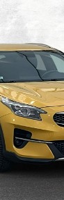 Kia Xceed Kia XCeed 1.5 T-GDI L Buisness Line Hatchback-3