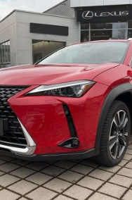 Lexus UX 300h Business 300h Business 2.0 199KM | System Martwego Pola-2