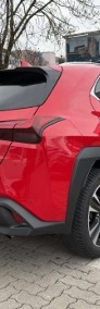 Lexus UX 300h Business 300h Business 2.0 199KM | System Martwego Pola-4