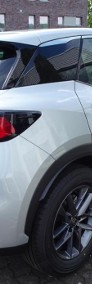 Lexus LBX 1.5 Hybrid LBX LBX 1.5 Hybrid | Czujniki parkowania-4