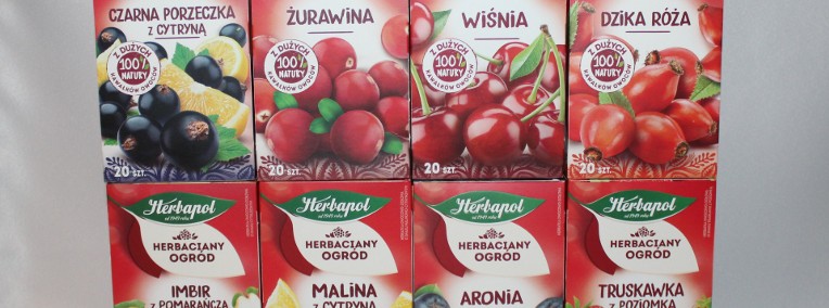  Herbata owocowa Herbapol - malina cytryna dzika róża żurawina aronia wiśnia 20t-1