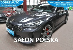 Kia Stinger 3.3 370KM 4x4 GT Line,El.Klapa,Grzane/Wentyl Fotele,Martwe Pole,FV2