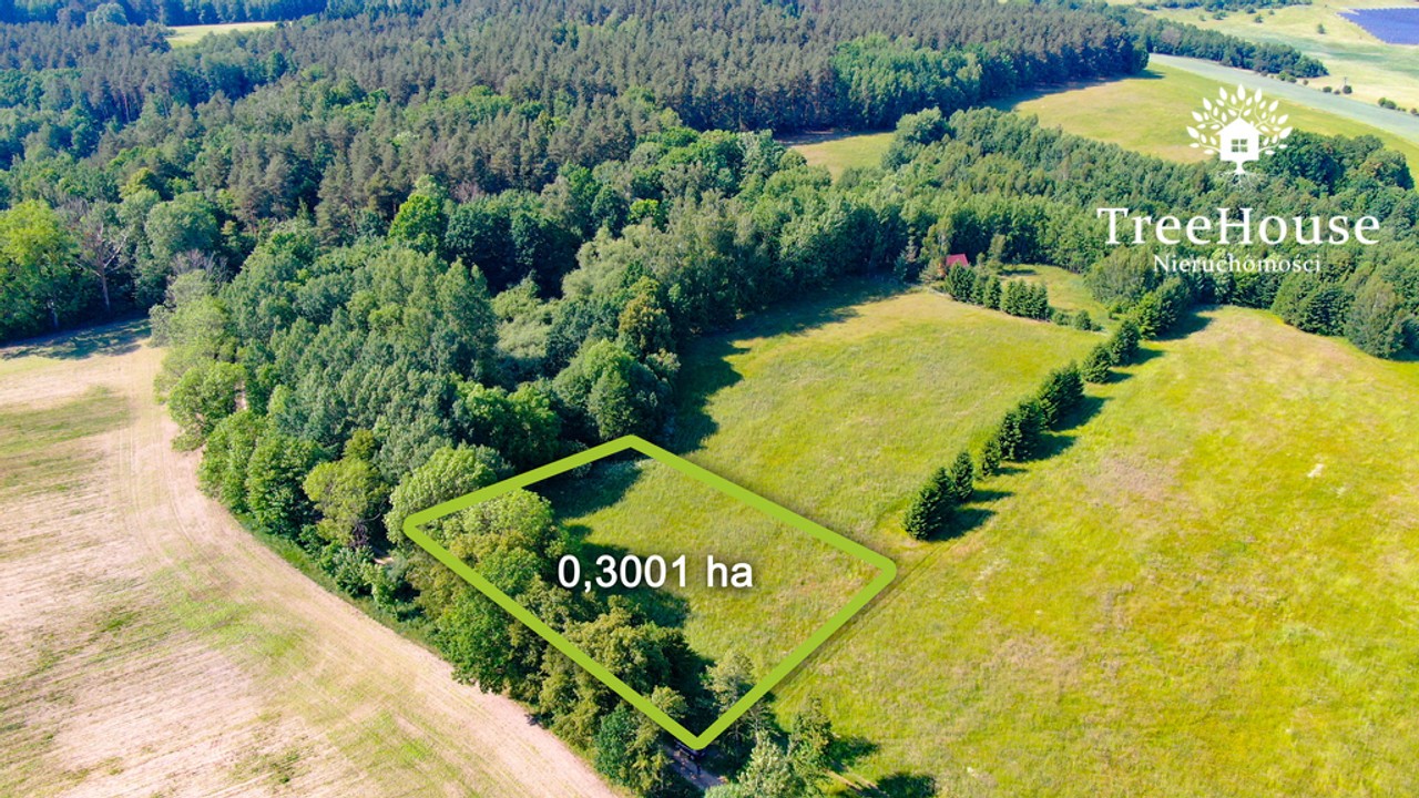 4 działki z WZ na Mazurach – Guja. - Widok 2