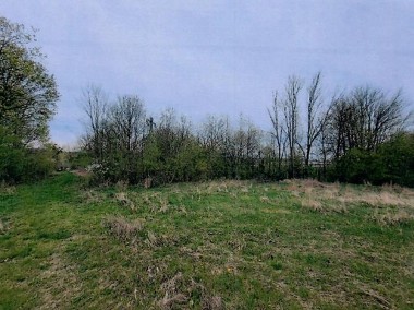 0,26 ha Kraśnik- działka rolna, sprzeda syndyk-1