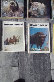 Łowiec Polski kolekcja 405 gazet, myślistwo, hunting-2