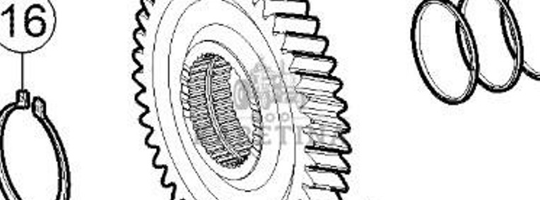 Claas Axion 870 Koło Zębate Tryb 0011657920 00 1165 792 0-1