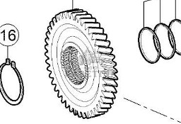 Claas Axion 870 Koło Zębate Tryb 0011657920 00 1165 792 0