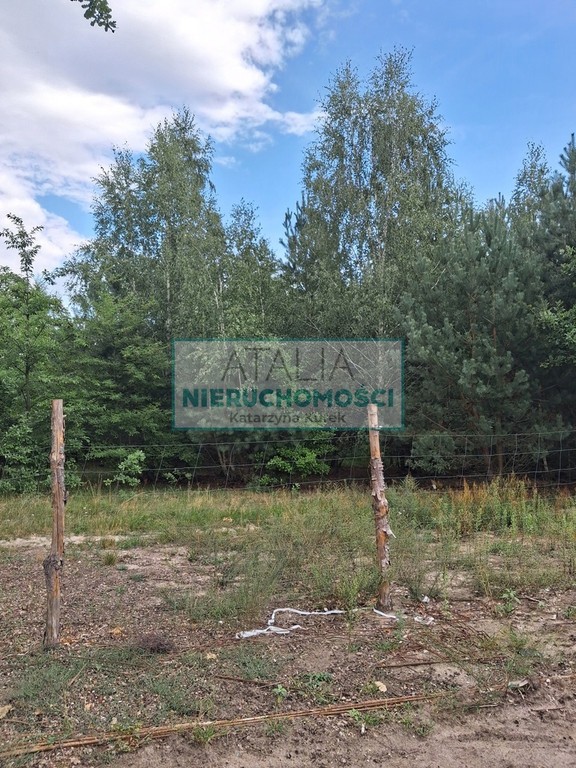 Segment środkowy w bardzo ładnej lokalizacji