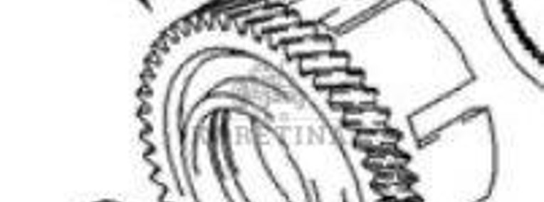 Case Magnum MX 225 260 New Holland TG Wałek Zębaty Koło Zębate 222856A1-1