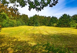 Działka budowlana Petrykozy, ul. Główna