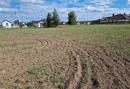 Działka budowlana Połczyno, ul. Rumiankowa