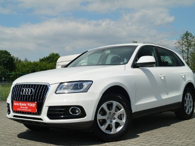 Audi Q5 II QUATTRO 2,0 177 KM HAK PÓŁ SKÓRA KSENON EL. KLAPA 3 LATA JEDEN WŁ.-1