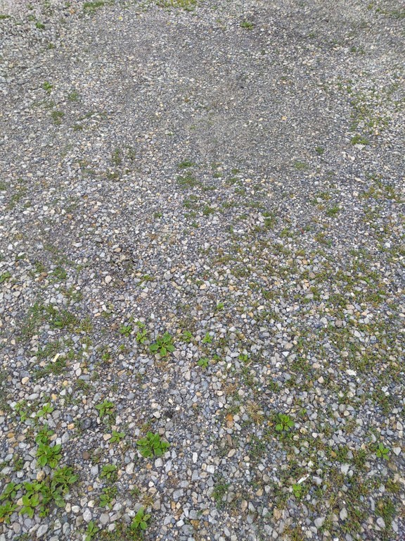 Działka Plac Magazyn Parking - Widok 3