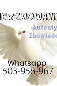 Nauki Przedmałżeńskie Poradnia Rodzinna Zaświadczenia dla Chrzestnych Cały Kraj-2