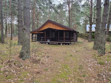 Urokliwa działka leśna + domek 2700m2, MPZP, Różan Chełsty-1