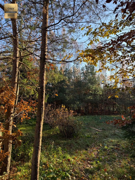 MPZP | Własny Lasek | Ogrodzona | Zabudowa | Prąd - Widok 3