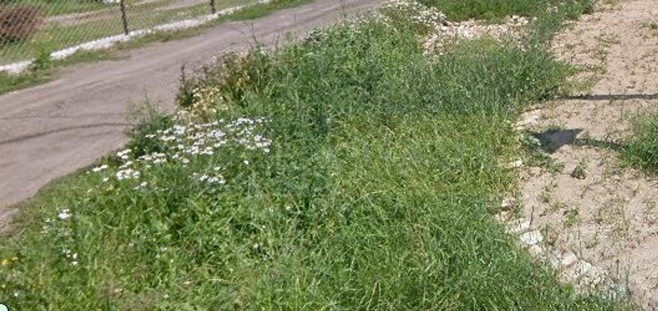 Działka budowlana 799 m², wymiarowa, ładne miejsce - Widok 3