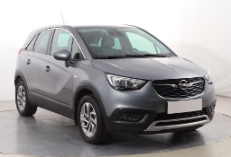 Opel Inny Opel , Salon Polska, 1. Właściciel, Serwis ASO, Skóra, Navi,