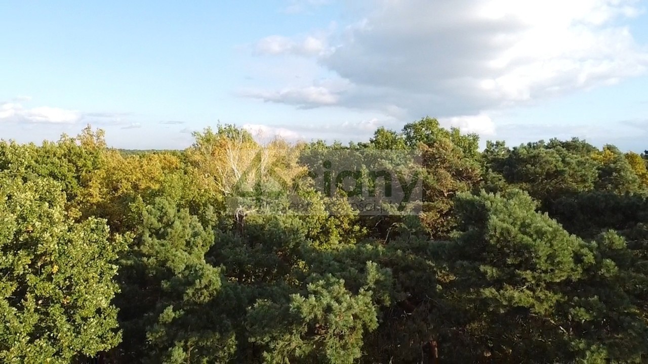 Rezydencjonalna, leśna działka - Widok 2