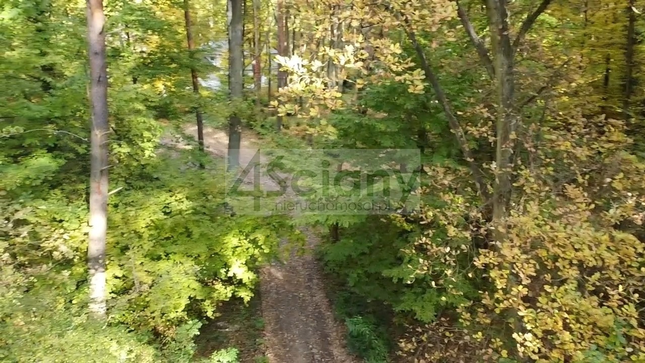 Rezydencjonalna, leśna działka - Widok 3