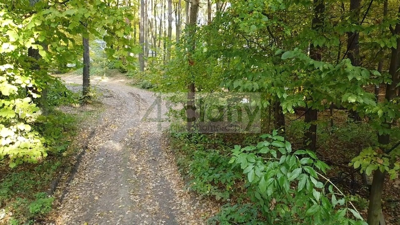 Rezydencjonalna, leśna działka - Widok 4