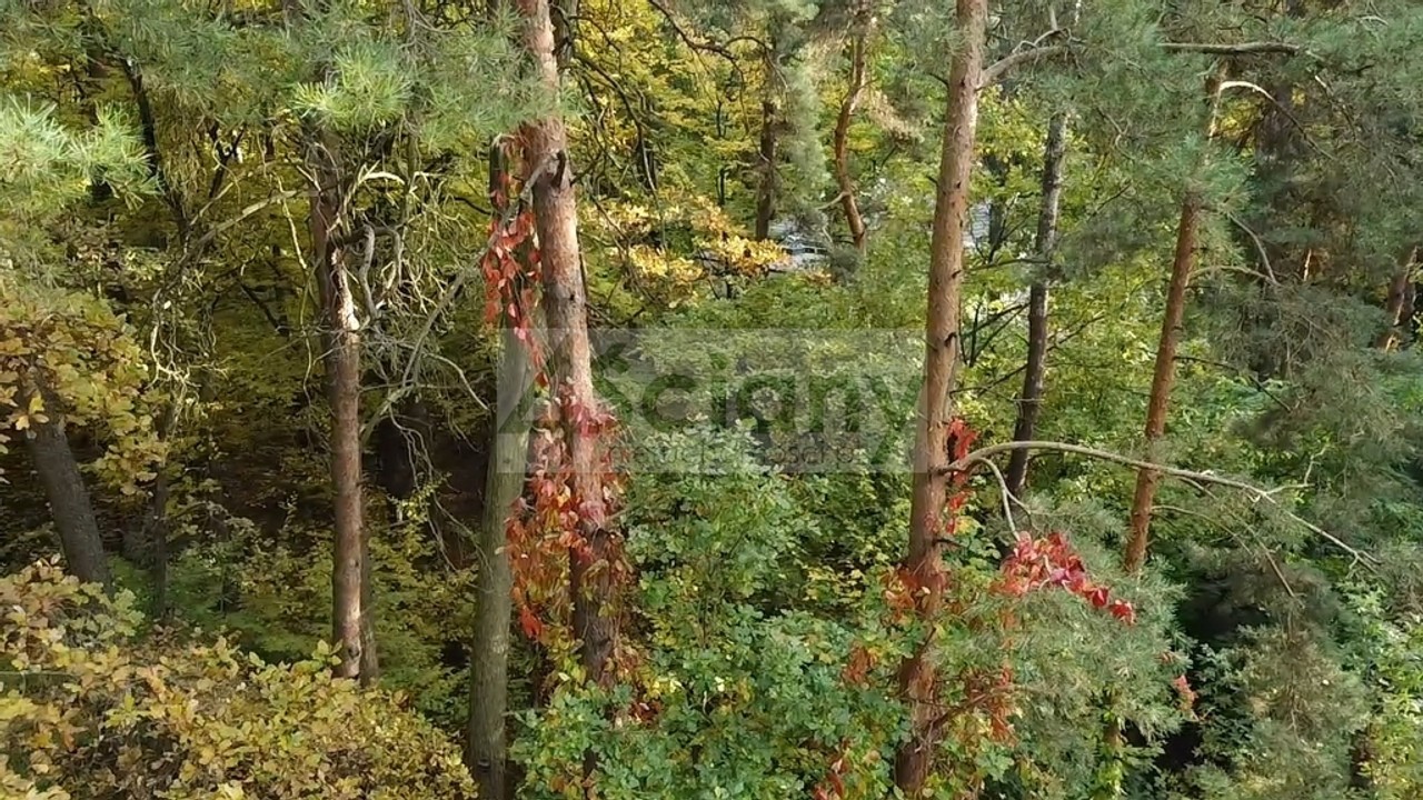 Rezydencjonalna, leśna działka - Widok 5