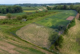 Działka inna Brochocin, ul. Malinowa