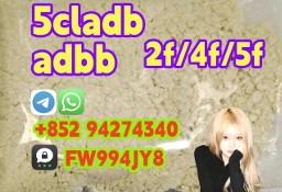 5CL-ADB supplier 5cladba 5cladb vendor on sale now
