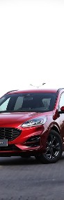 Ford Kuga Ford Kuga 2.5 FHEV FWD ST-Line | VAT Marża | Gwarancja | Salon Polsk-4