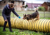 Uroczy MacGyver szuka domu - adoptuj psiaka proszę :)