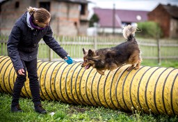 Uroczy MacGyver szuka domu - adoptuj psiaka proszę :)