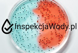 BADANIE WODY - LEGIONELLA - Kraków/Małopolska InspekcjaWody.pl