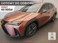 Lexus UX 300h F Sport Design 2.0 Hybrid Dynamic Force AWD 300h F Sport Design