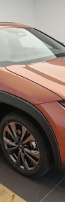 Lexus UX 300h F Sport Design 2.0 Hybrid Dynamic Force AWD 300h F Sport Design-3