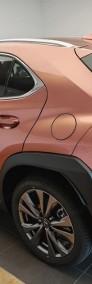 Lexus UX 300h F Sport Design 2.0 Hybrid Dynamic Force AWD 300h F Sport Design-4